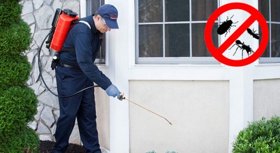 Çifteler Kemirgen İlaçlama böcek ilaçlama ve haşere kontrolü — ilaclama-tr.com